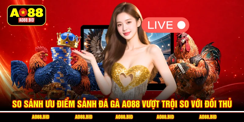 Đá Gà AO88 – Xem Đấu Trường Kê Chiến Đỉnh Cao, Thưởng Khủng